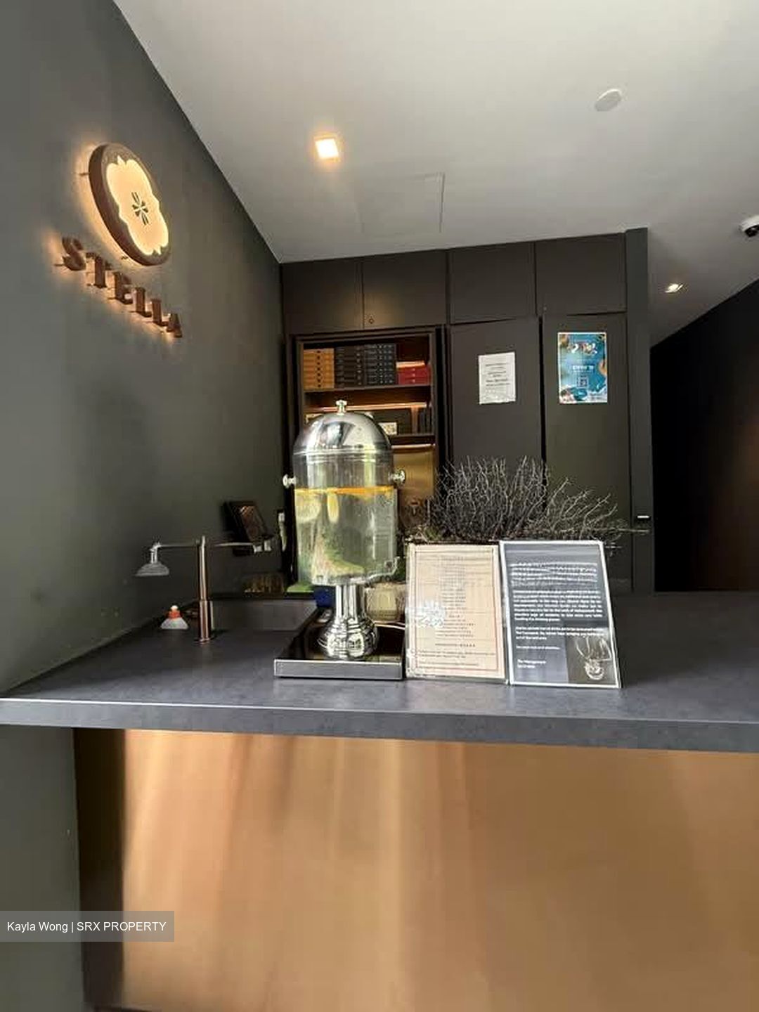 Kopar At Newton (D9), Apartment #577317891